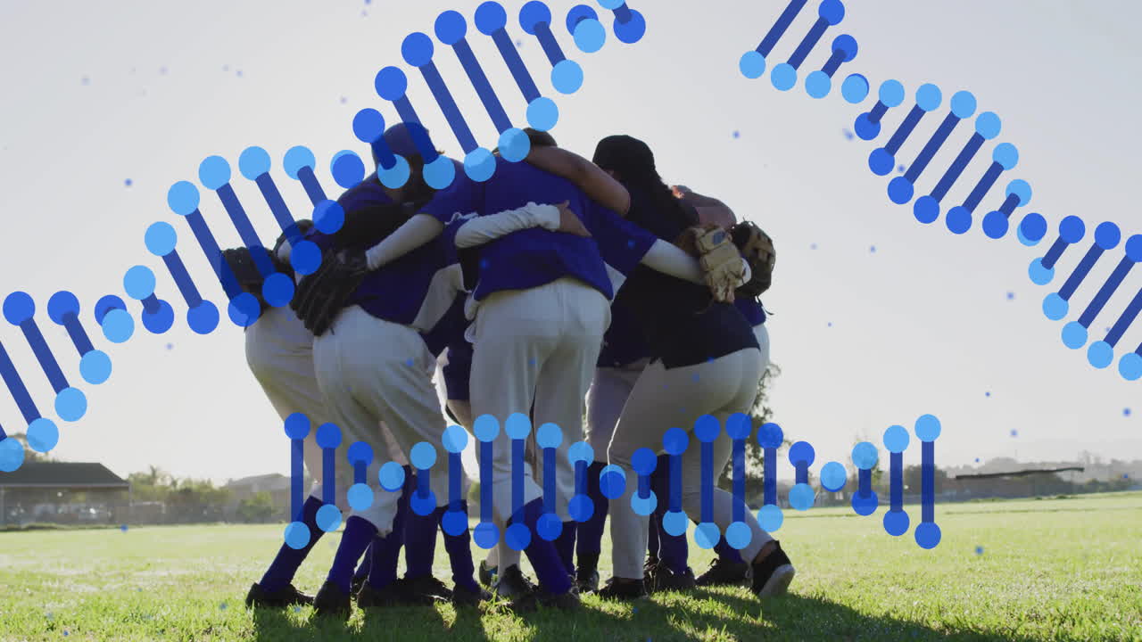 Female baseball team forming huddle on grass field, displaying animated sports performance charts