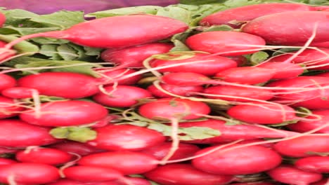 red radishes