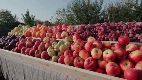 Ripe-fruit-on-the-counter-of-the-farmers-market-1