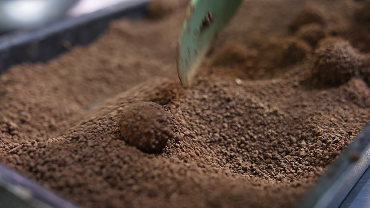 Candies covered with liquid chocolate being coated with cocoa and nuts. Spatula turning over the sweets to cover them with sprinkling. Close up.