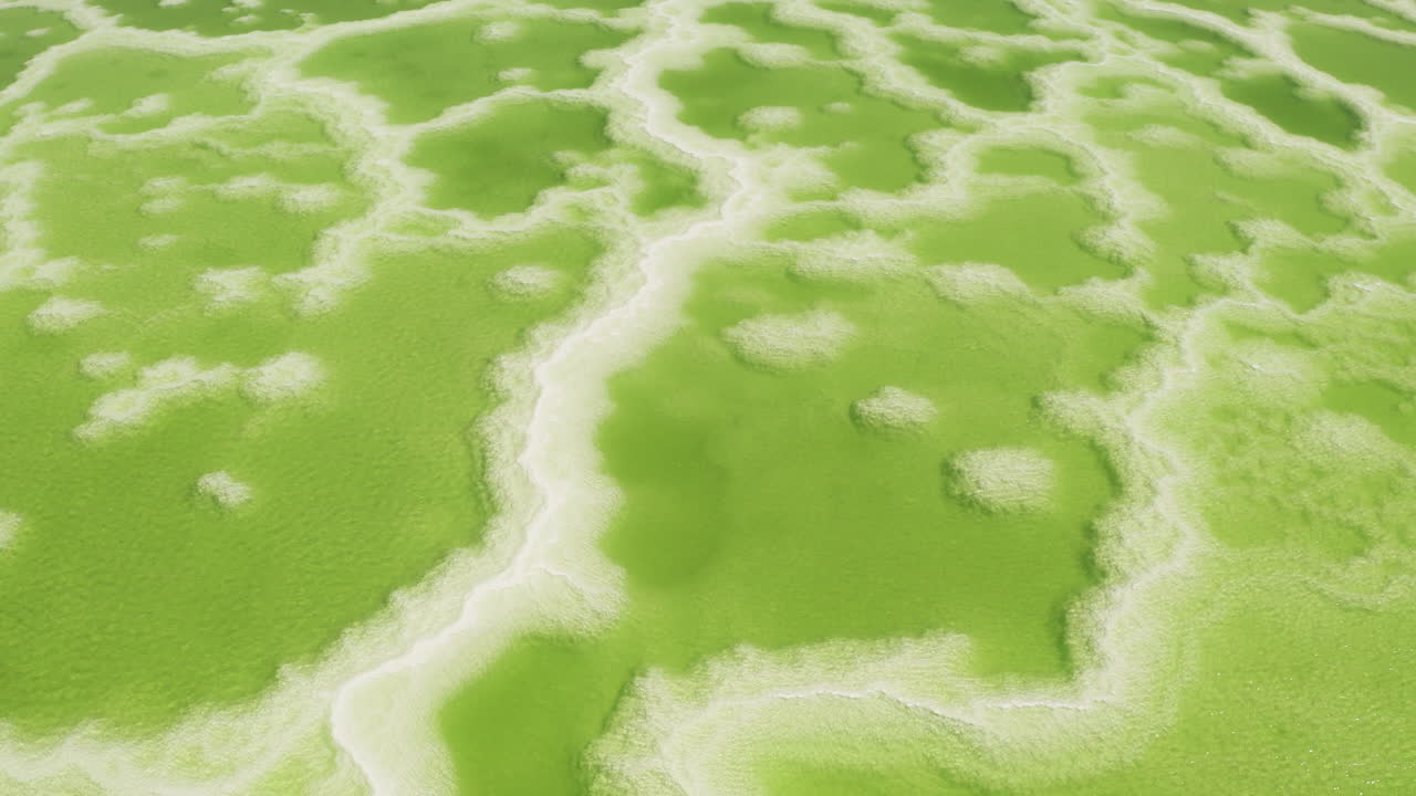 녹색 소금 호수, 자연 호수 배경.