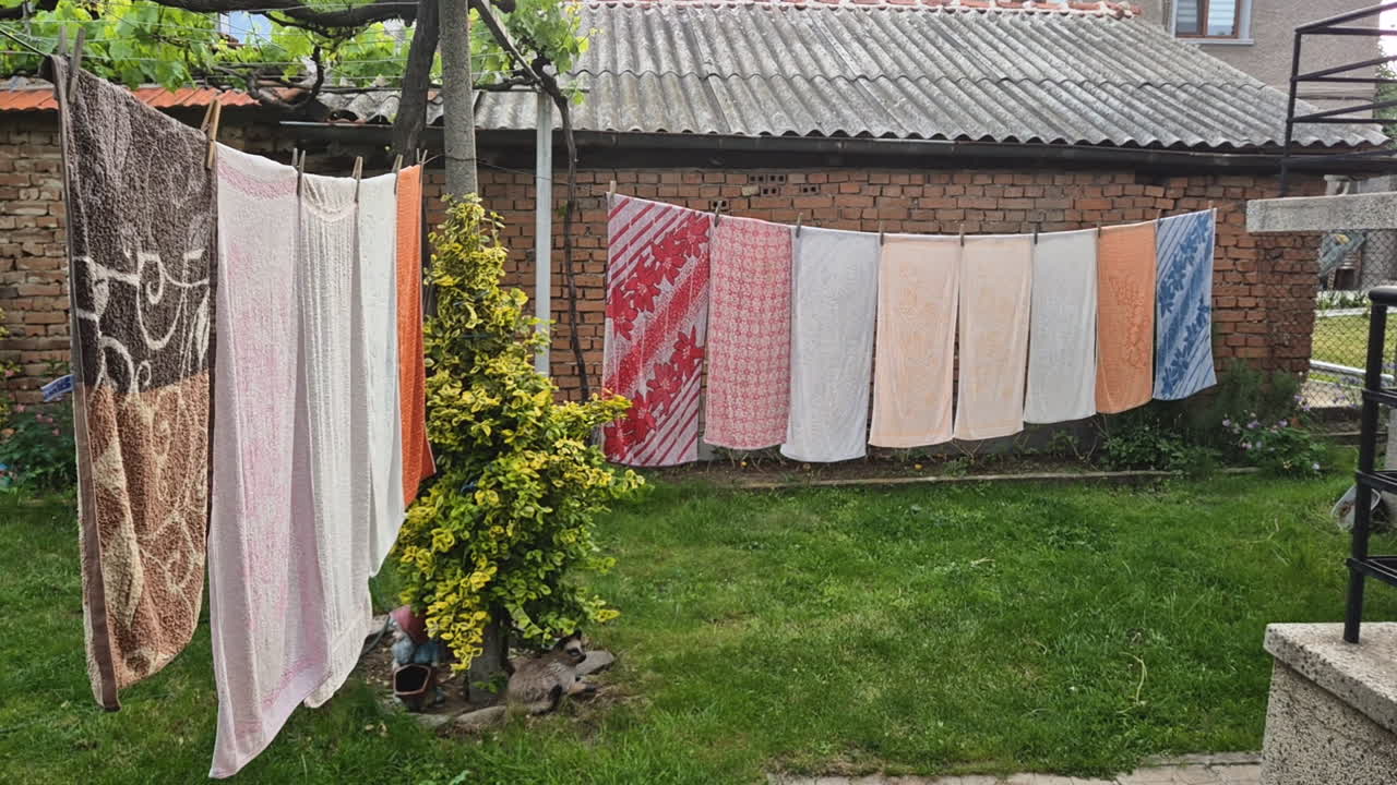 Spread colorful towels hanging on a clothes Line in a backyard during rain