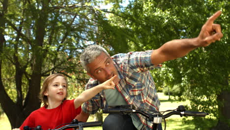 father and son riding bikes in park