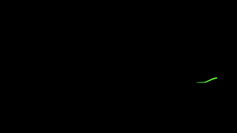 cardiogram cardiograph oscilloscope screen loop 4k