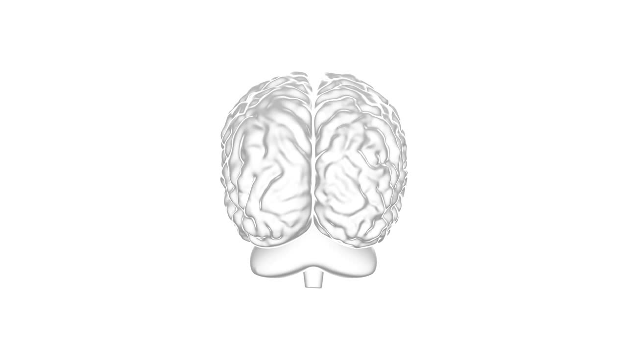 Human Brain 3D, Seamless Loop