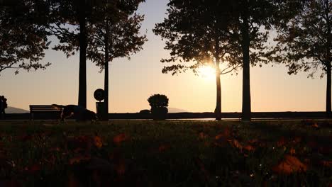 silhouettes of cyclist and funny dog in park on evening sun over anatolian part of istanbul, turkey