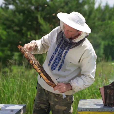 man holding honeycomb full of bees
