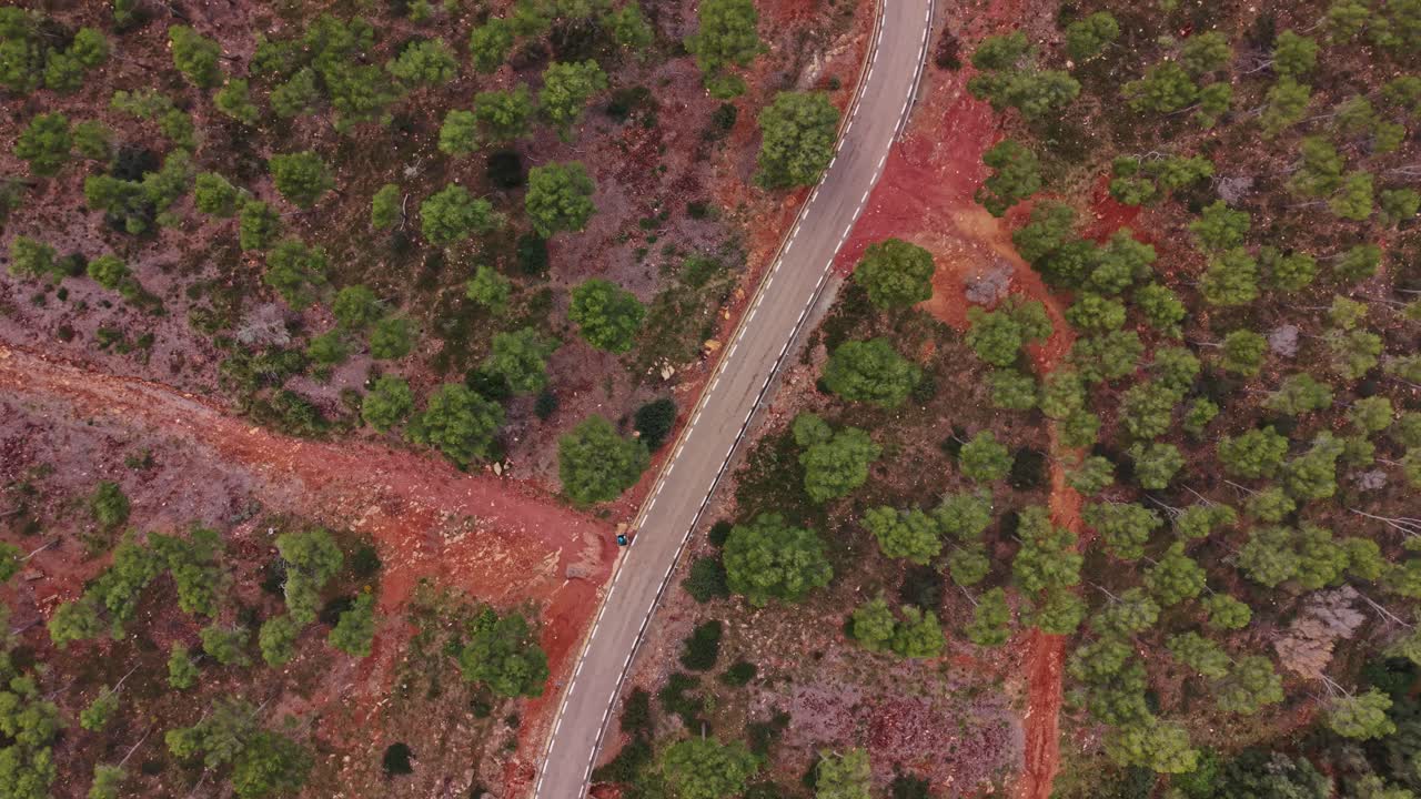 Estrada sinuosa entre árvores verdes na zona rural da Espanha