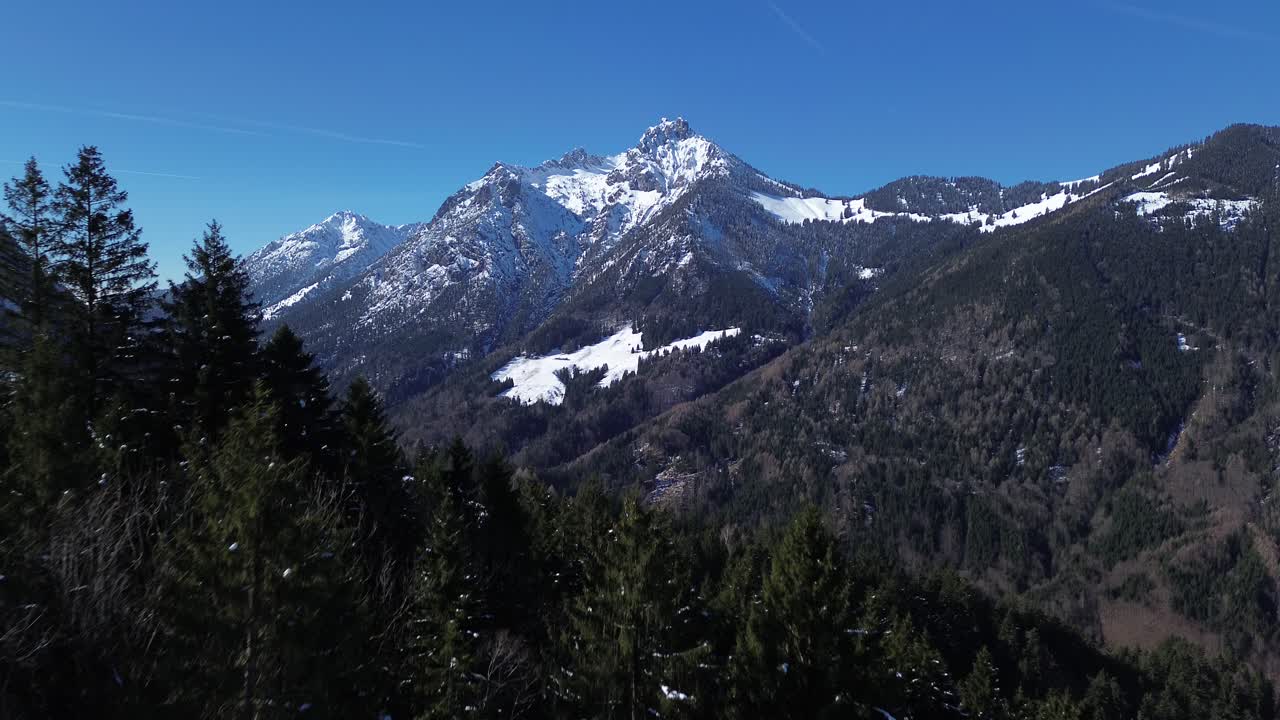 Vista aerea di un drone che vola sopra una pineta con montagne innevate sullo sfondo in una splendida giornata di sole con cielo azzurro limpido nelle Alpi austriache.