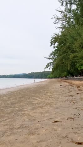 tranquil sandy beach with lush greenery in krabi, thailand