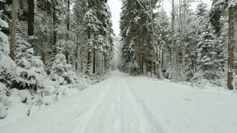 traveling through a snowscape road in jorat woodlands, canton of vaud, switzerland