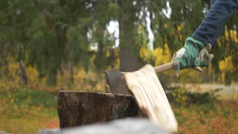 man chopping fire wood with axe in the middle of a forest during the fall - slide medium shot