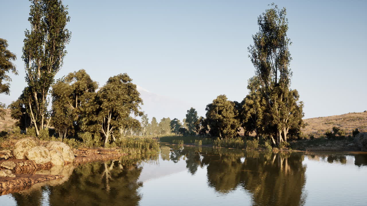 río tranquilo rodeado de árboles exuberantes bajo un cielo azul claro al amanecer