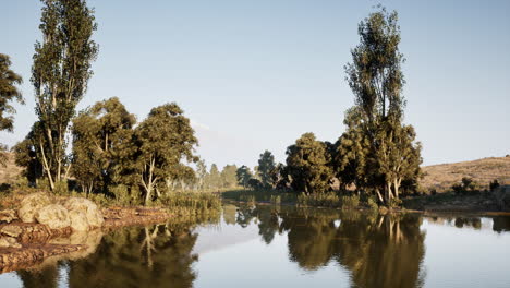tranquil river surrounded by lush trees under clear blue sky at dawn