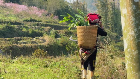 slow-motion shot of a man with a woven basket filled with herbs in vietnam.