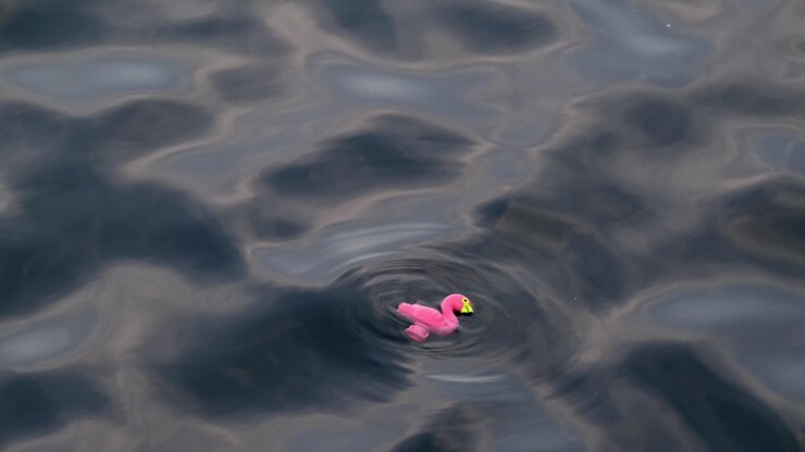 A child's soft toy floating on the surface of the seawater, promoting safety concepts for kids