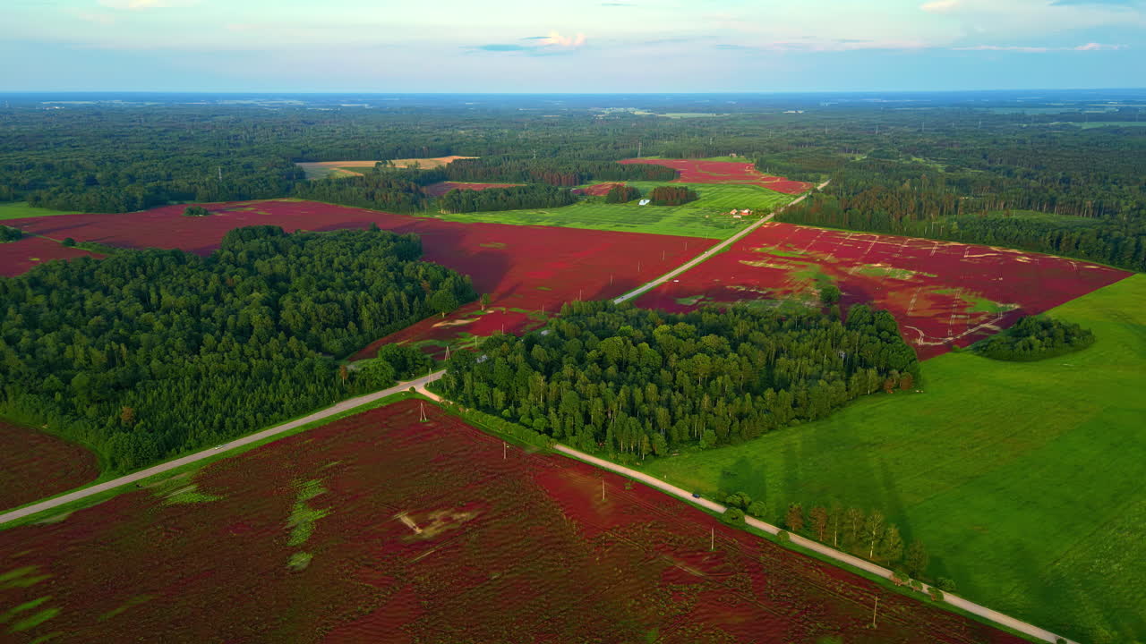 Aerial drone forward moving shot over different agricultural fields along rural countryside on a sunny morning.