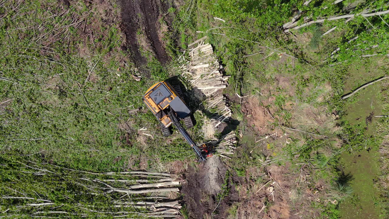 Harvester machine working in a deforested area, clearing trees with heavy equipment