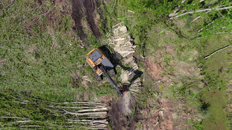harvester machine working in a deforested area, clearing trees with heavy equipment
