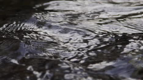 Water-Flowing-with-Ripples-and-Current-at-Cullen-Gardens-Central-Park,-Close-Up-Shot-in-Whitby,-Canada