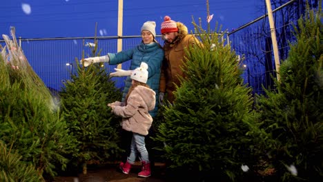 Glückliche-Familie-Wählt-Weihnachtsbaum-Auf-Dem-Markt.Familie,-Winterferien-Und-Menschenkonzept-–-Glückliche-Mutter,-Vater-Und-Kleine-Tochter-Wählen-Weihnachtsbaum-Auf-Straßenmarkt-Am-Abend-über-Fallendem-Schnee