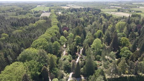 jib down of large park with beautiful green trees in summer