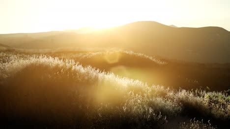 sunset over the valley fields