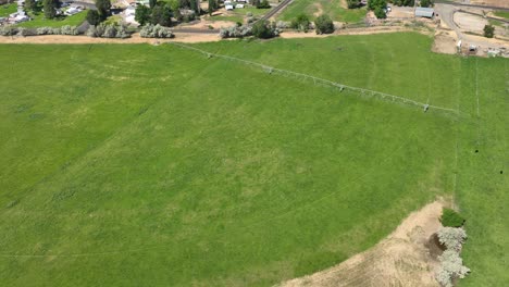 Overhead-aerial-view-of-a-large-sprinkler-system-watering-a-field-of-crops