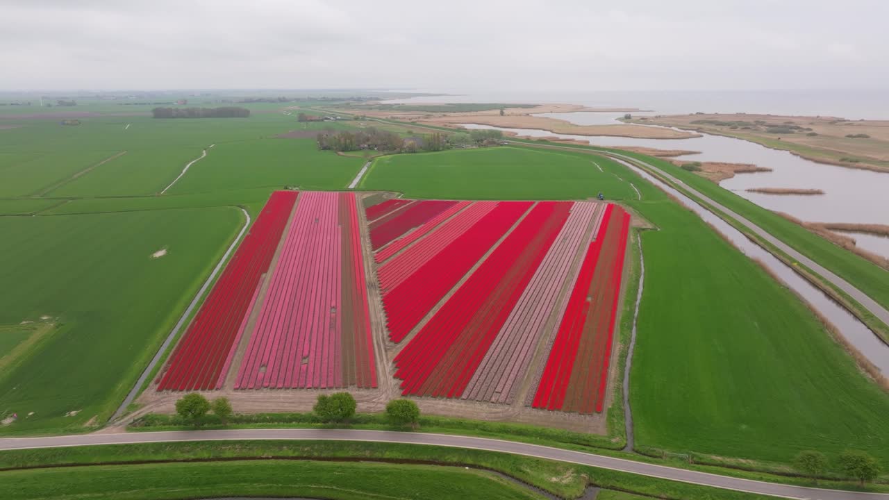 Luftfoto av blomstrende jordbruksland i dempet lys på en overskyet nederlandsk dag
