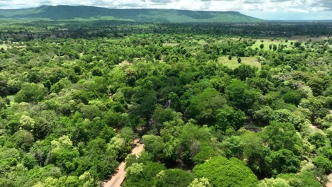 lush forest and aerial view of the surrounding area near the ancient beng mealea temple complex in siem reap, cambodia