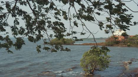 Ruhige-Morgendämmerung-Mit-Spiegelndem-Wasser-Und-Majestätischen-Bäumen,-Eine-Ruhige-Mischung-Aus-Der-Schönheit-Der-Natur