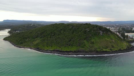 lush green rainforest at burleigh heads national park - coastal headland in burleigh heads, gold coast, qld, australia