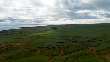 Playa-Aérea-De-Arena-Verde-En-El-Campo-De-La-Isla-Grande,-Hawai,-Estados-Unidos,-Papakōlea