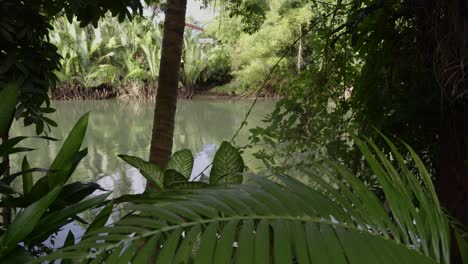 Tranquila-Escena-De-Un-Río-Tropical-En-Filipinas-Con-Exuberante-Vegetación-Y-Aguas-Tranquilas,-Luz-Natural-Y-Ambiente-Sereno