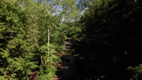 Eine-Drohnenaufnahme-Eines-Kanals-Im-Park-Mit-Seinem-Tropischen-Regenwald