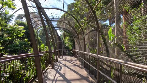 walkthrough of butterfly enclosure at melbourne zoo