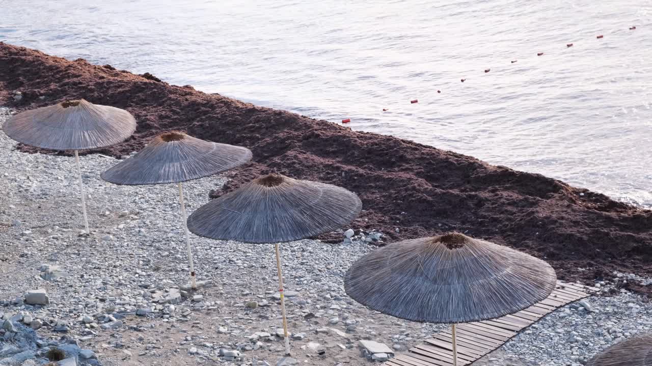 Beach Scene with Straw Umbrellas and Seaweed
