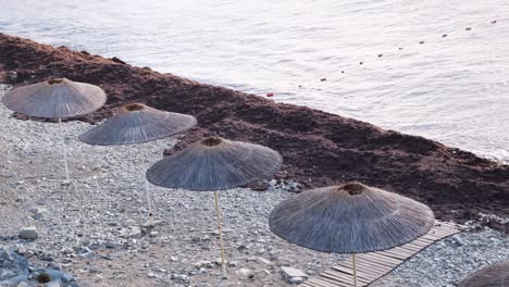 beach scene with straw umbrellas and seaweed