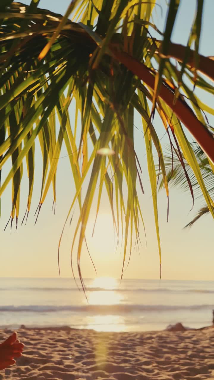 Golden sunset over a sandy beach, viewed through the hanging leaves of a palm tree.
