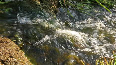 fast flowing river with stones in the water