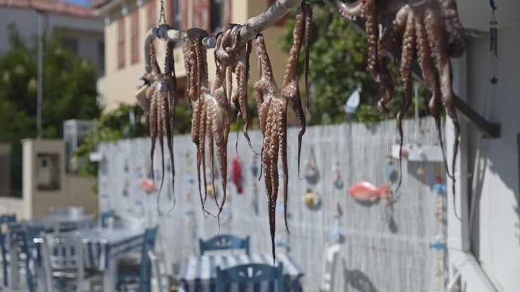 Primo piano di polpi appena pescati che si asciugano al sole presso una tradizionale taverna greca.
