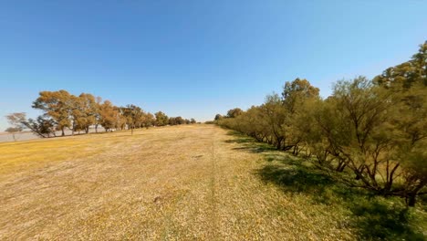 un dron haciendo pruebas de vuelo mientras graba imágenes asombrosas de un campo en sevilla, españa