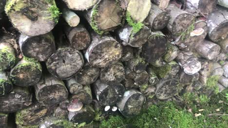 log pile