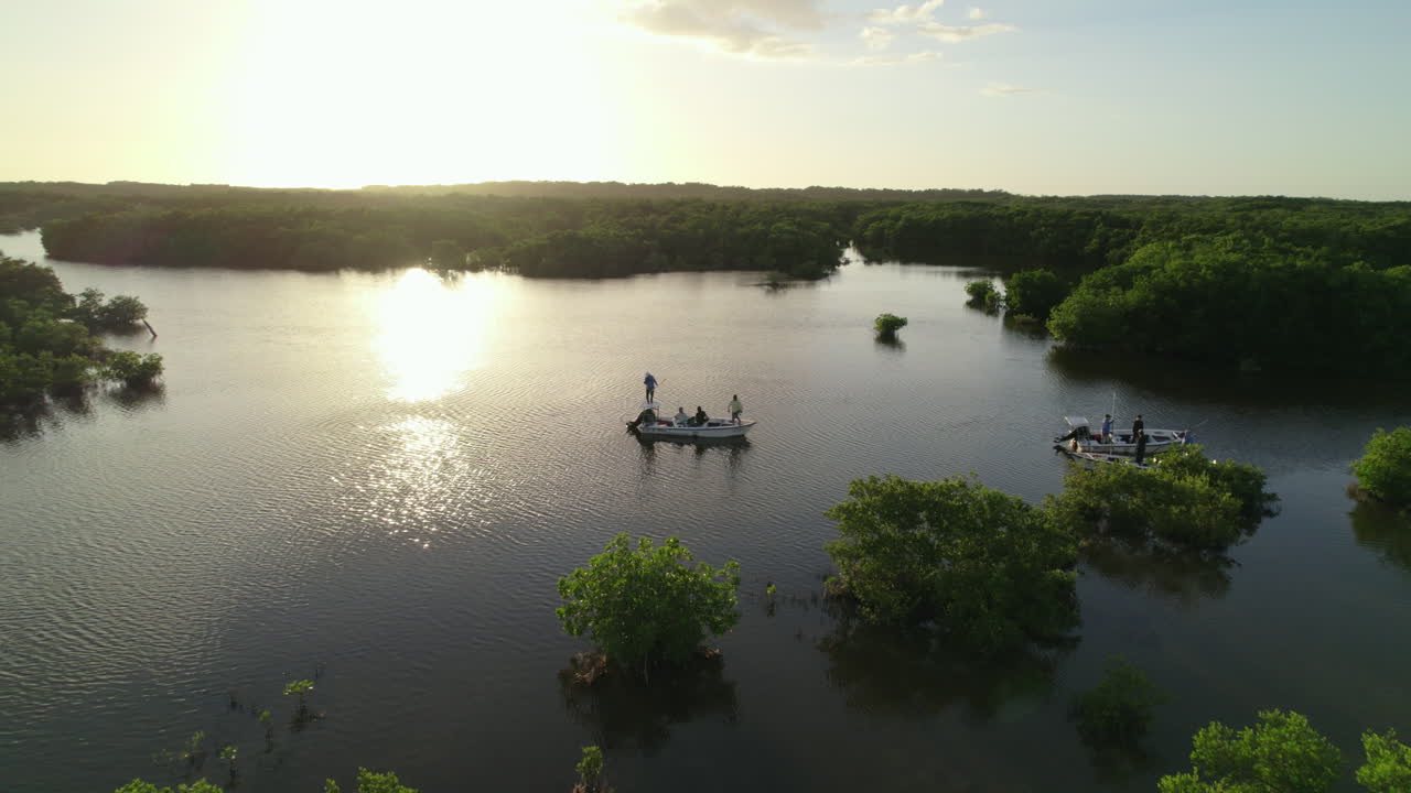 Aerial drone shot flying over Campeche mangroves at sunset with traditional fishing boats on the water
