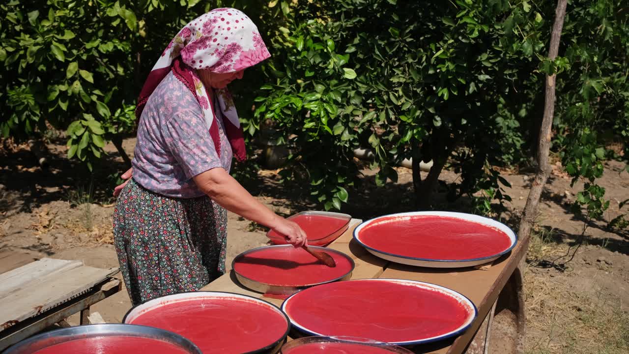 pasta de tomate casera y orgánica y pasta de pimienta. salsas alimenticias utilizadas con frecuencia en la cocina turca y asiática.
