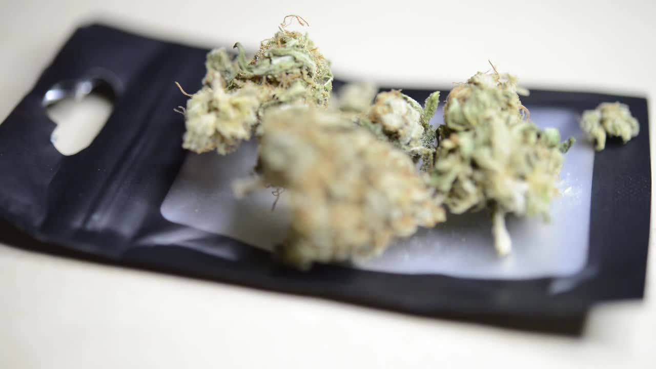 유기적으로 재배된 비닐 봉지에 마리화나 잡초 봉오리를 피울 준비가 된 매크로 회전 샷을 닫습니다.