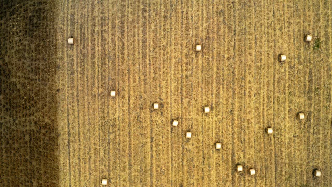 위에서 풀을 가진, 폴란드