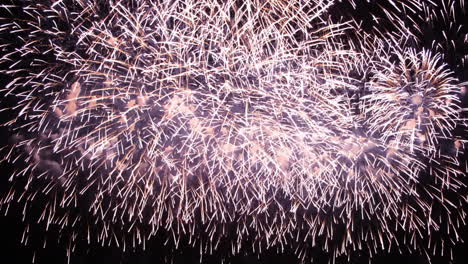 hermosos fuegos artificiales en el cielo nocturno