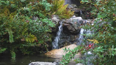 cascada de tres niveles en un parque japonés