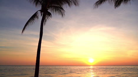 Impresionante-Escena-De-Puesta-De-Sol-Tropical,-Cielo-Colorido-Sobre-El-Mar-Y-Silueta-De-árbol